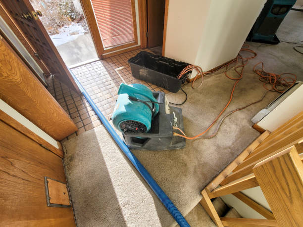 Trusted Andalusia, IL Water damage restoration Experts