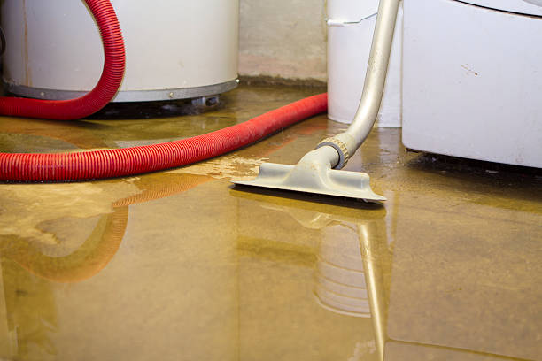 Best Water damage cleanup near me  in Andalusia, IL