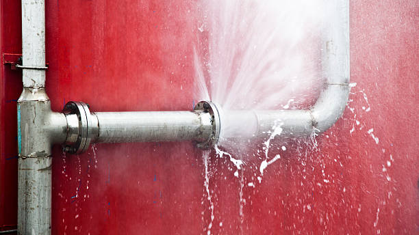 Best Water damage restoration company  in Andalusia, IL